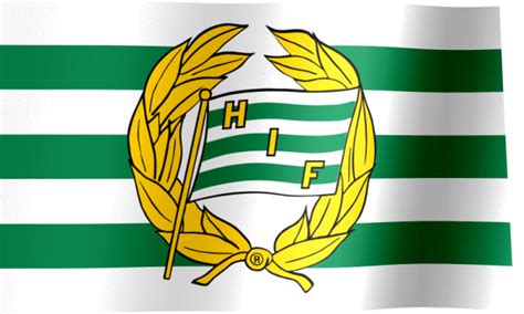 Hammarby Fotboll Fan Flag (GIF) - All Waving Flags