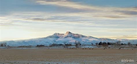 Heart Mountain - Cody, Wyoming | Wyoming travel, Wyoming, Places to visit