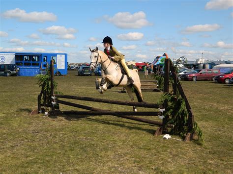 Horse Jumping Free Stock Photo - Public Domain Pictures