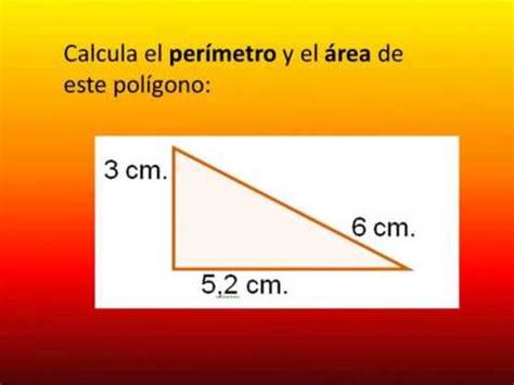 Robusto pasta comercio el area de un triangulo rectangulo Omitir homosexual Conquistar