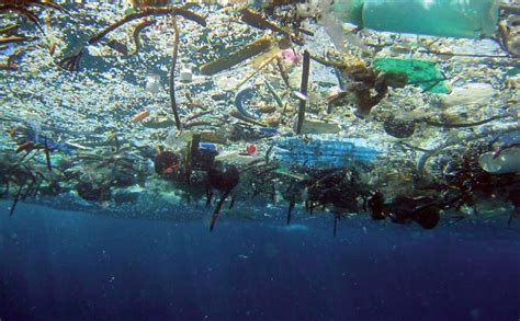 Ocean Plastics: Facts and Falsehoods