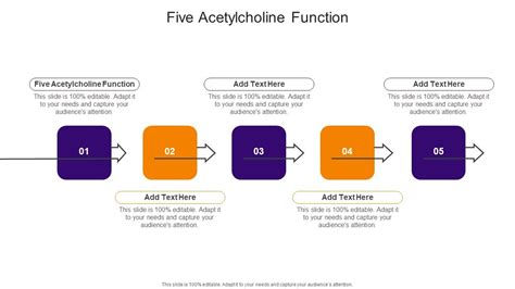 Five Acetylcholine Function In Powerpoint And Google Slides Cpb