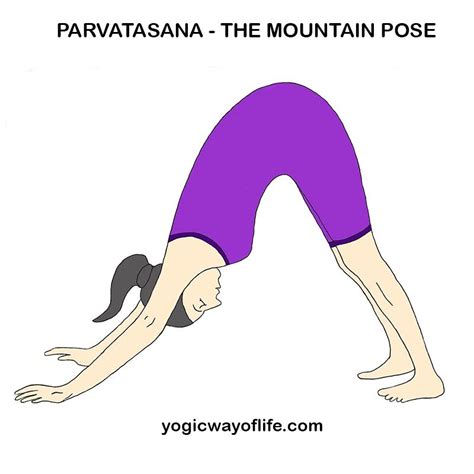 Parvatasana - The Mountain Pose | Mountain pose yoga, Mountain pose ...