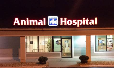 Abbotsford Vet – Choosing the Right Animal Hospital for Your Pet