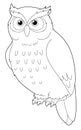 Owl Coloring Page Clipart Free Stock Photo - Public Domain Pictures