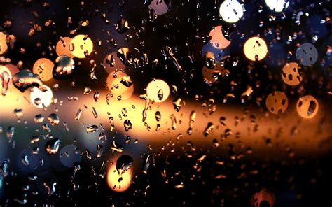 Download Photography Raindrops HD Wallpaper