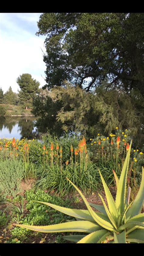 UC Davis Arboretum, California, USA | Gorgeous gardens, Beautiful ...