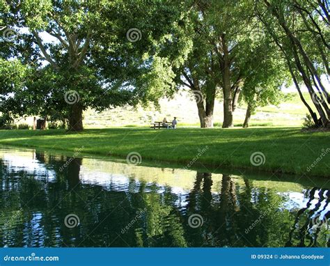 Sunny Day Picnic stock photo. Image of people, enjoy, warm - 9324