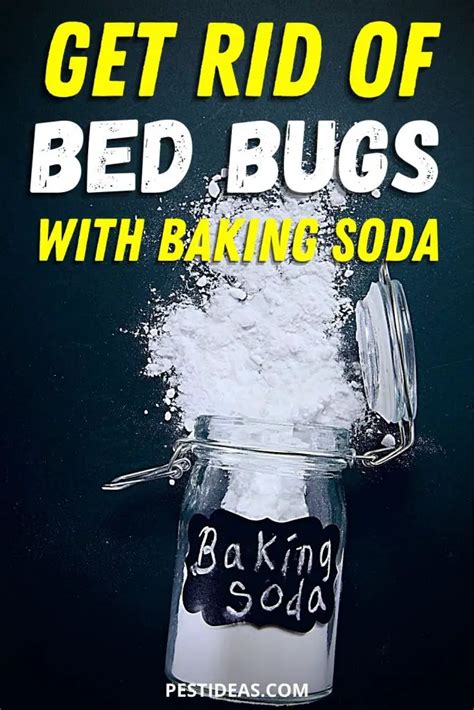 Using Baking Soda to Kill Bed Bugs - Pest Ideas