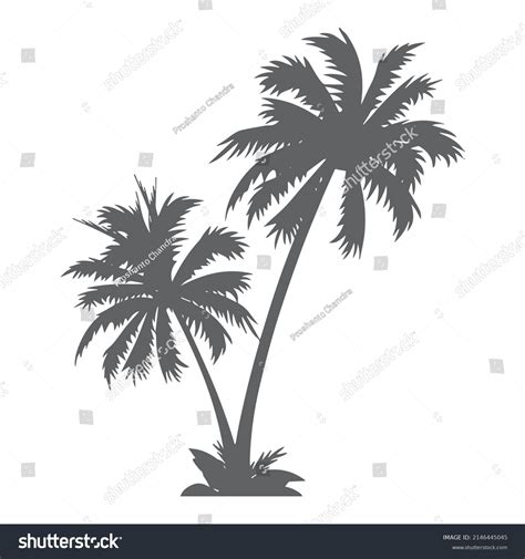 Black White Palm Tree Line Art Stock Vector (Royalty Free) 2146445045 ...