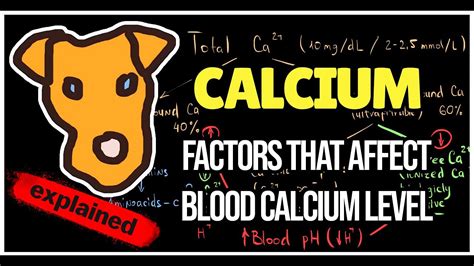 Blood calcium level Regulation Factors that affect blood Calcium level ...