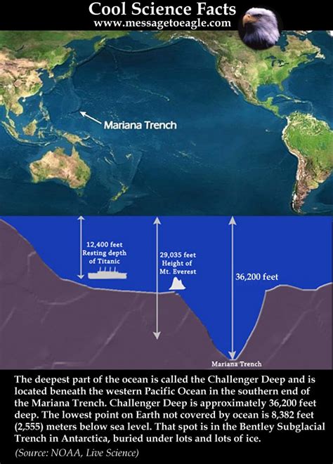 Mariana Trench: Deepest Part Of The World’s Oceans | MessageToEagle.com