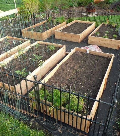 Vegetable Garden Box DIY | Vegetable garden boxes, Garden boxes diy, Vegetable garden design