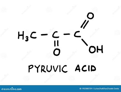 Pyruvic Acid Structural Formula Stock Illustration - Illustration of ...