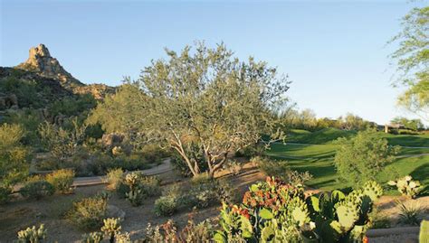 Scottsdale, Carefree and Cave Creek Real Estate & Homes For Sale ...