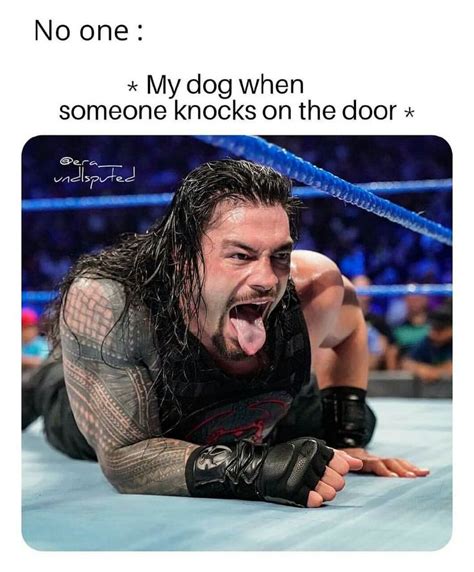 Pin by Lizzie on Roman Reigns | Roman reigns, Reign, Wwe memes