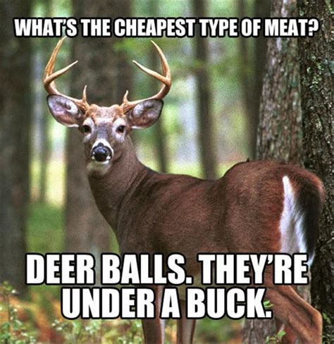 Funny Hunting Quotes. QuotesGram