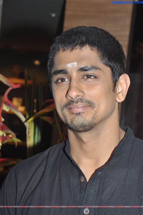 Siddarth Tamil Actor Photos Stills - photo #290722