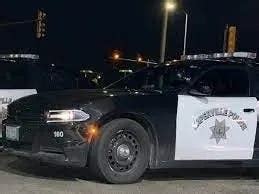 6 Arrested After Fight Outside Naperville Restaurant: Report ...