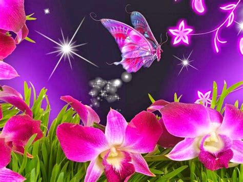 Animated Butterfly Wallpapers - Top Free Animated Butterfly Backgrounds - WallpaperAccess