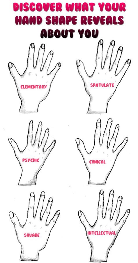 Discover what your hand shape reveals about You | Persönlichkeit, Go ...