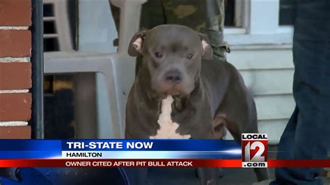 How Many People Have Been Killed By Pit Bulls