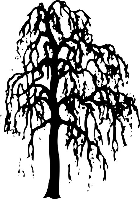 Free Willow Tree Silhouette Clip Art, Download Free Willow Tree ...