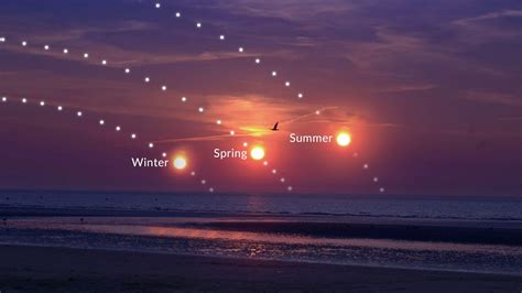 What Is the Ecliptic | Constellations of the Zodiac | Plane of Ecliptic Astronomy | Star Walk