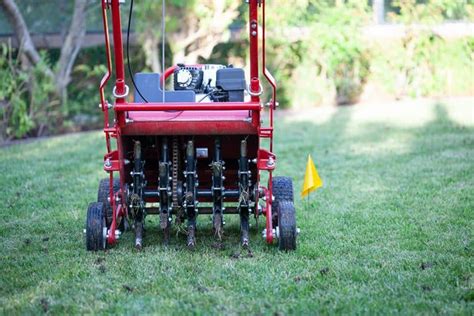 What is the Best Time to Aerate Lawn in Northeast? | Pepper's Home & Garden