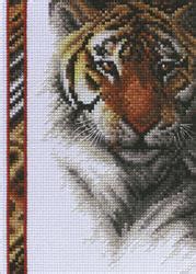 Tiger (cross stitch kit)