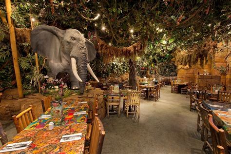 Le Rainforest Cafe au Disney Village lance son site internet