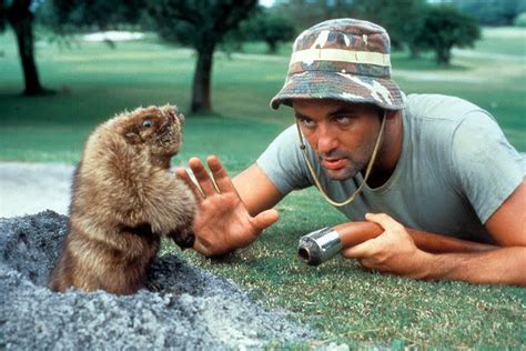 Gopher Cradles Golf Ball in Video Dubbed 'Real-Life “Caddyshack ...