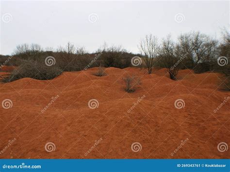 Abandoned bauxite mine stock image. Image of color, bauxite - 269343761