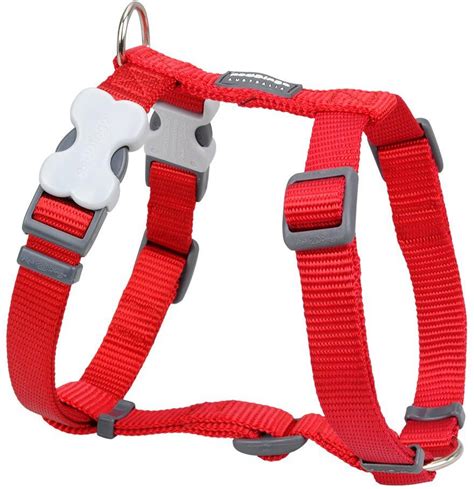 Red Dingo Classic Dog Harness, Red, Medium - Chewy.com