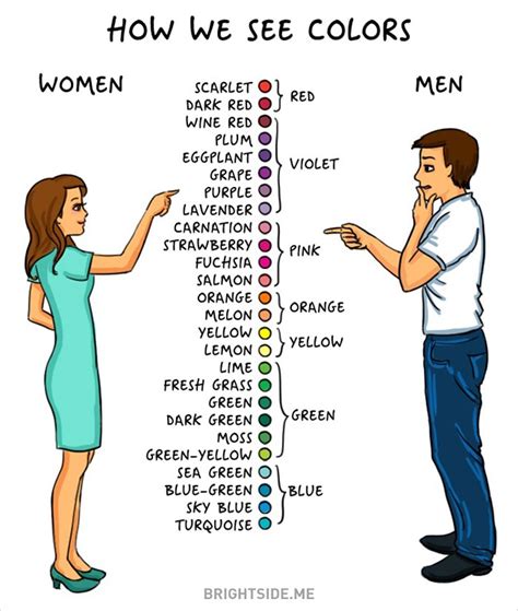 Illustrator draws 14 differences between men and women – Vuing.com