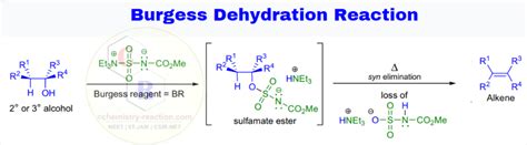 Burgess Reagent Mechanism | Burgess Dehydration Reaction