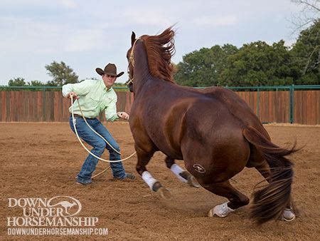 Clinton Anderson (horse trainer) - Alchetron, the free social encyclopedia