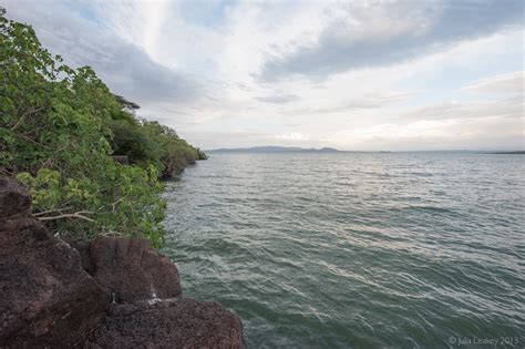 Julia Leakey: Lake Baringo, Rift Valley, Kenya, December 2013