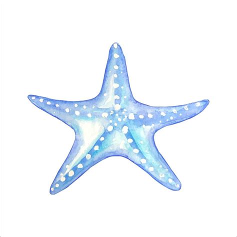 Watercolor blue starfish 11136491 Vector Art at Vecteezy