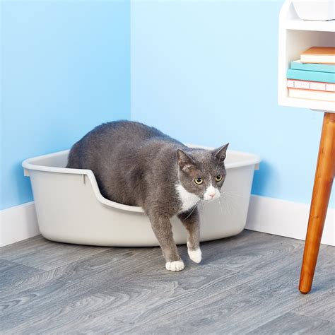 SmartCat Corner Litter Box - Chewy.com