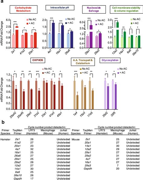 QRT–PCR confirmation of the RNA-seq data a, qRT–PCR of mRNA of specific... | Download Scientific ...