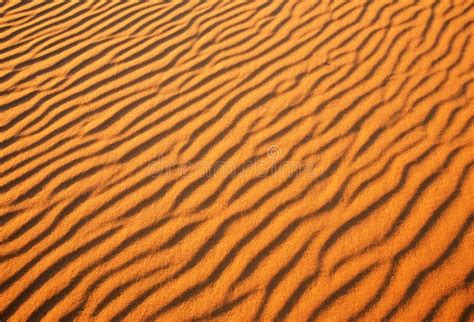 Desert sand background. stock image. Image of desert - 52028609