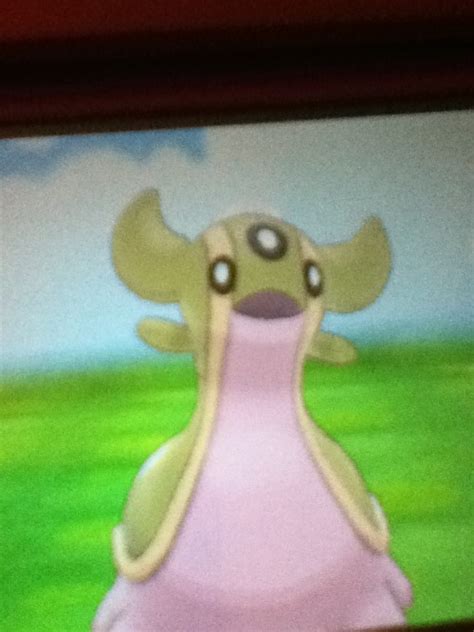 shiny gastrodon | Tumblr