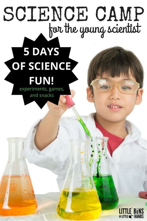 Summer Science Camp Activities - Little Bins for Little Hands | Science ...