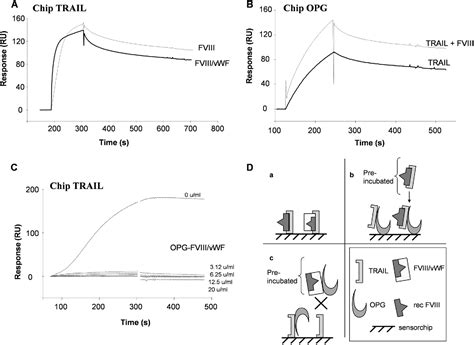 Figure 6 from Factor VIII-von Willebrand factor complex inhibits ...