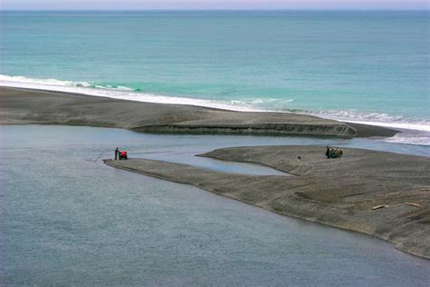 Whitebait season - The Fishing Website