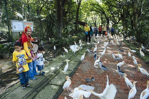 Travel | Kuala Lumpur Bird Park | Attachment | stay happy, stay ceria