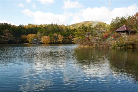 Taisho Pond Green Park: Fall Foliage 3 | Photos | Another Kyoto Media ...