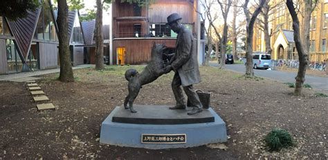 Hachiko reunited with his master : A photo story of the new statue at ...