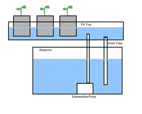 Ebb and Flow Systems of Hydroponic Gardens